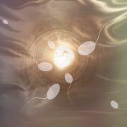 Mon sperme est transparent : que faire pour retrouver un liquide opaque ?