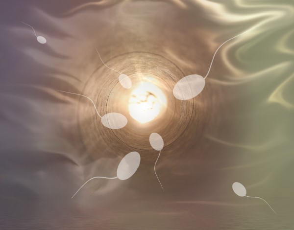 Mon sperme est transparent : que faire pour retrouver un liquide opaque ?