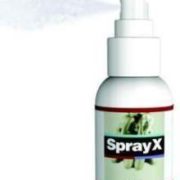 Avis Spray X : test de cette solution et opinion des utilisateurs